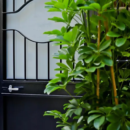 Casa Diaz Bed & Breakfast Naples